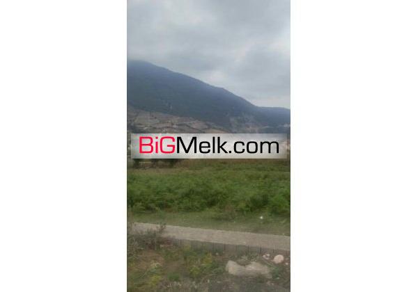 زمین جنگلی بهشت گمشده نور | مازندران، چمستان