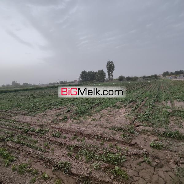 زمین کشاورز هشتگرد روستای ایقربلاغ