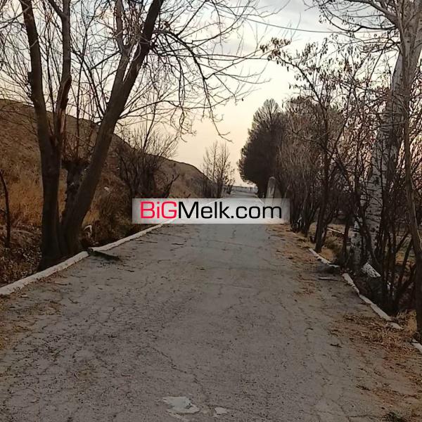 فروش مزرعه کشاورزی