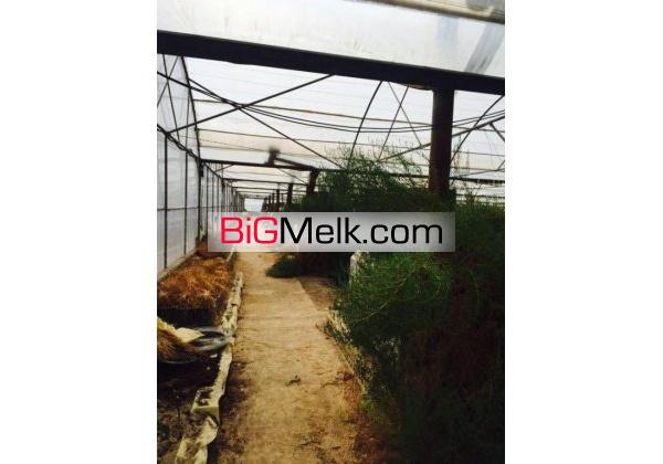 5600 متر باغ به همراه 4500 متر گلخانه | رباط کریم، پرندک