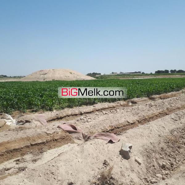 فروش زمین مزروعی