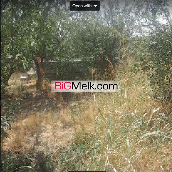 باغ چاردیواری
