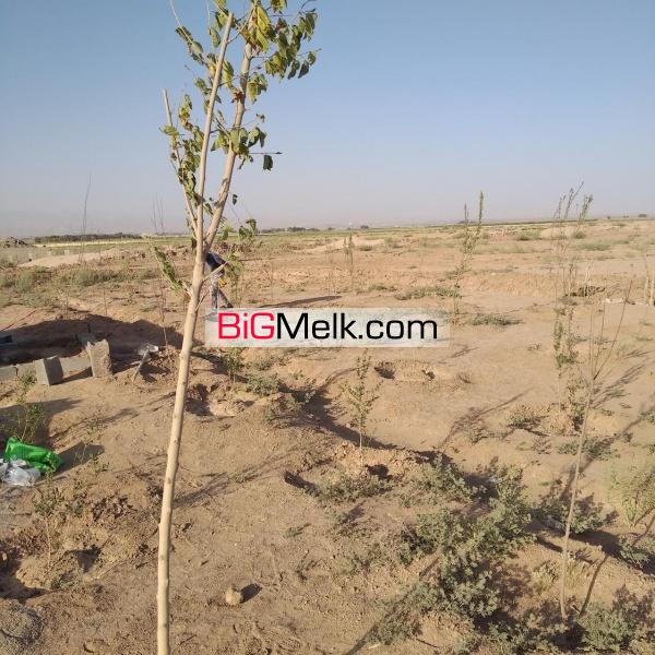 زمین کشاورزی فروشی