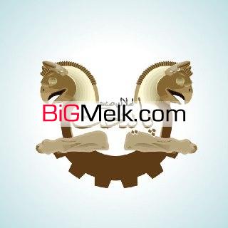 املاک صنعتی پایتخت