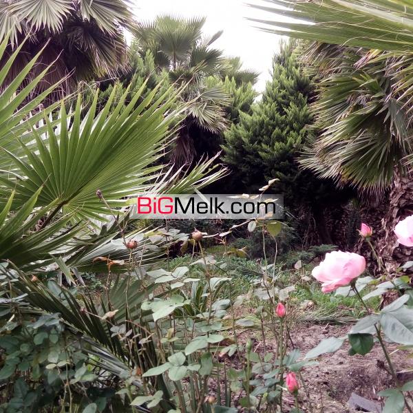 فروش باغ تجاری گردشگری صنعتی شهرکی تالار نمایشگاهی