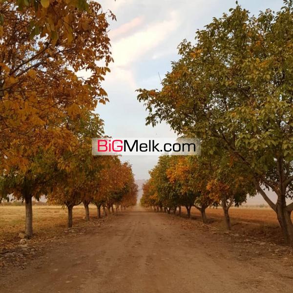 فروش ۱۳۰ هکتار زمین کشاورزی بر اتوبان زنجان قزوین