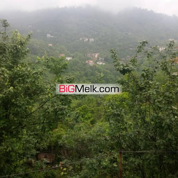 فروش ۱۴۲۵ متر زمین با سند تک برگ چابکسر