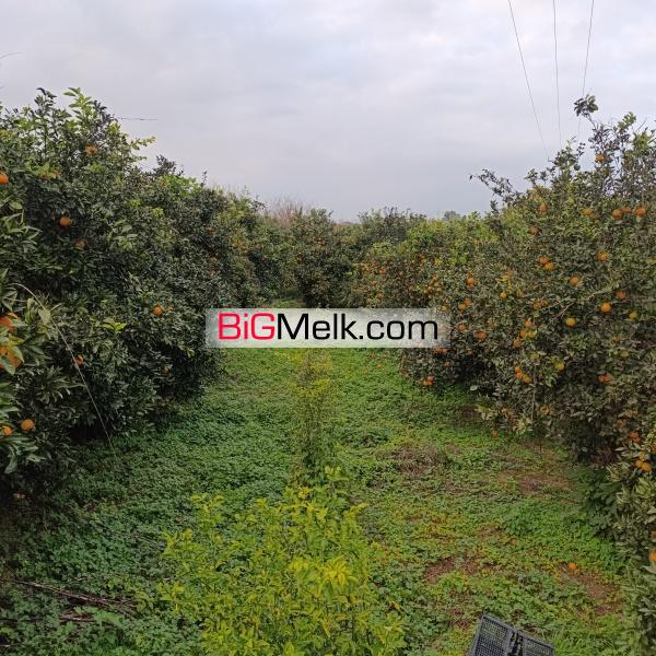 زمین مسکونی آماده ساخت