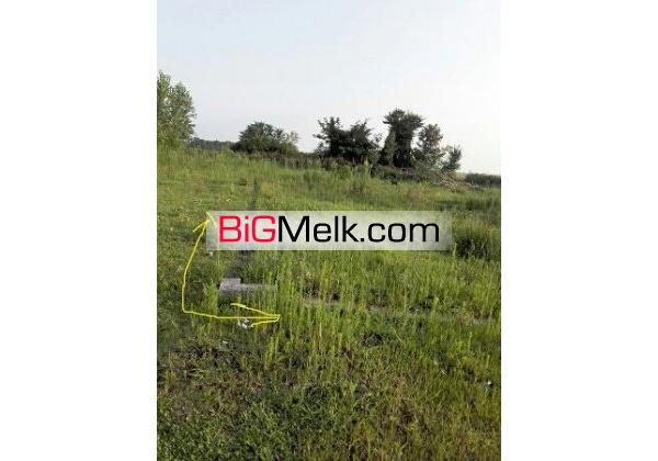 450 متر زمین نزدیک زیبا کنار | گیلان، لشت نشإ