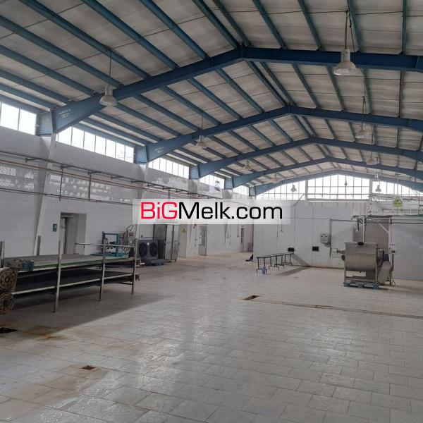 فروش کارخانه تمام بهداشتی آماده کار