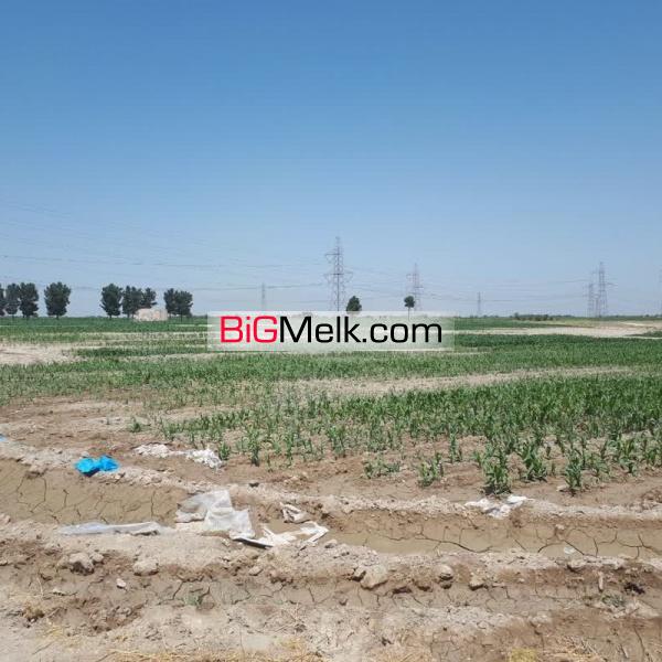 فروش زمین مزروعی