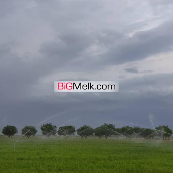 فروش ۱۳۰ هکتار زمین کشاورزی بر اتوبان زنجان قزوین