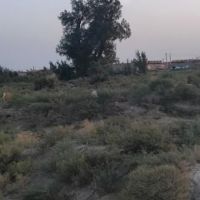 زمین زمین زمین