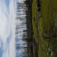 معاوضه زمین مسکونی در پره سر گیلان