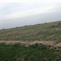 فروش زمین از ۱۰۰۰ متر تا یک هکتار
