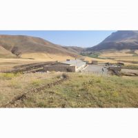 فروش کشتارگاه صنعتی مرغ