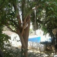 فروش  خانه   شهریار-شهرک جعفریه 580متر 09361218709
