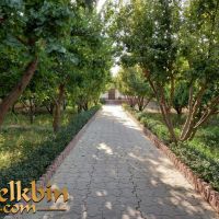 500 متر باغچه چهار دیواری در شهریار