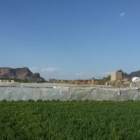 1000متر زمین کشاورزی شهر درچه (اسلام آباد)
