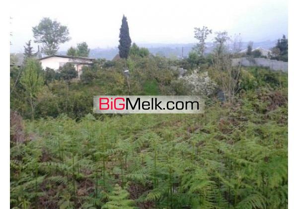 480 متر زمین نشتارود | مازندران، نشتارود