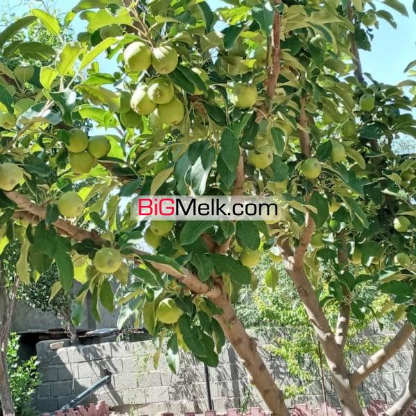 یک هتکار و 110 متر مربع باغ در کرج ( نظر آباد )