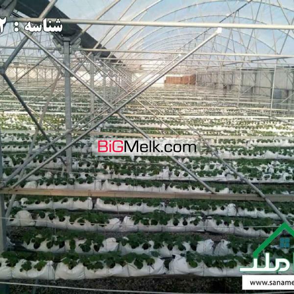 فروش گلخانه صنعتی در صفادشت