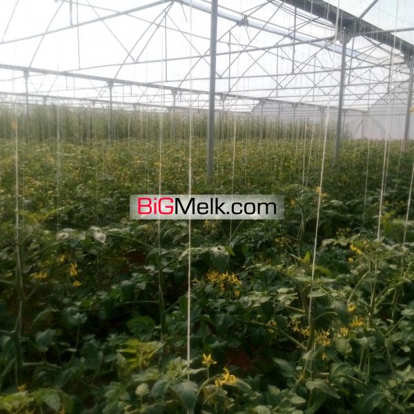 فروش اقساطی گلخانه
