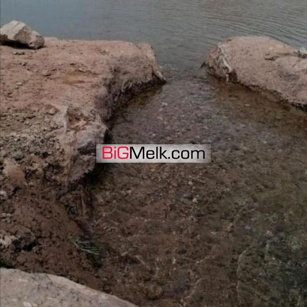 فروش باغ در چترود کرمان