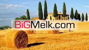 فروش مزرعه 110هکتار-دارای چاه عمیق