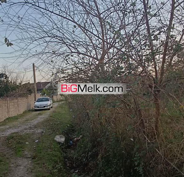 فروش ۲۹۰ متر زمین در شاندرمن زیبا (کارگزاری نسل نو)