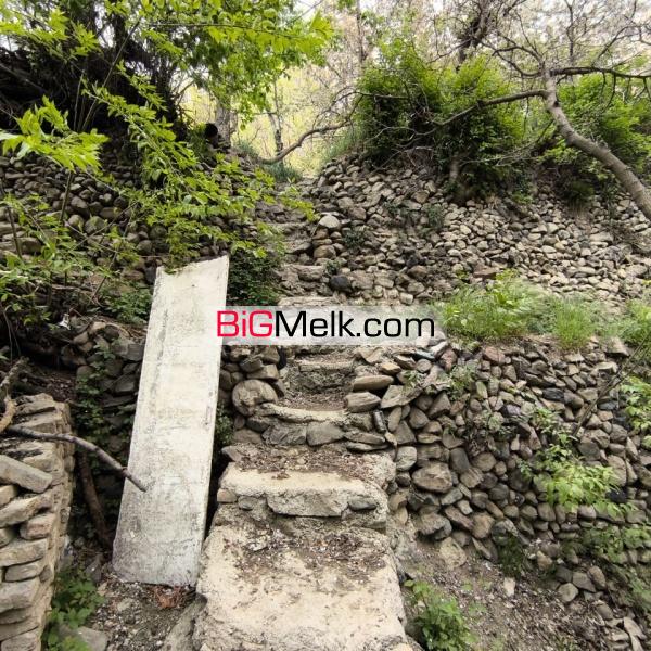 باغ در سولقان