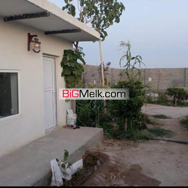 فروش باغ پسته