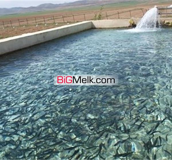 فروش 217 هکتارباغ ویلا بر جاده جنگل گلستان