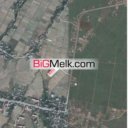زمین با درختان صنوبر 9340 متر | رحیم آباد، گلدشت