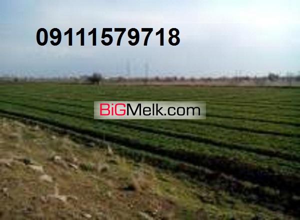 فروش  زمین 5000 هکتاری کشت وصنعت