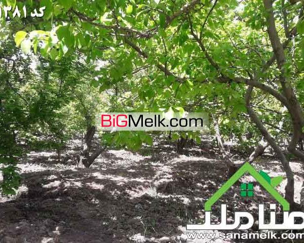 خرید و فروش باغ و باغچه در خوشنام ملارد کد1381