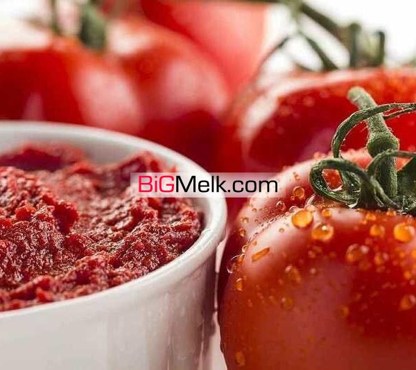 2هکتار کارخانه انواع رب گوجه ظرفیت روزانه500تن گوجه فروشی