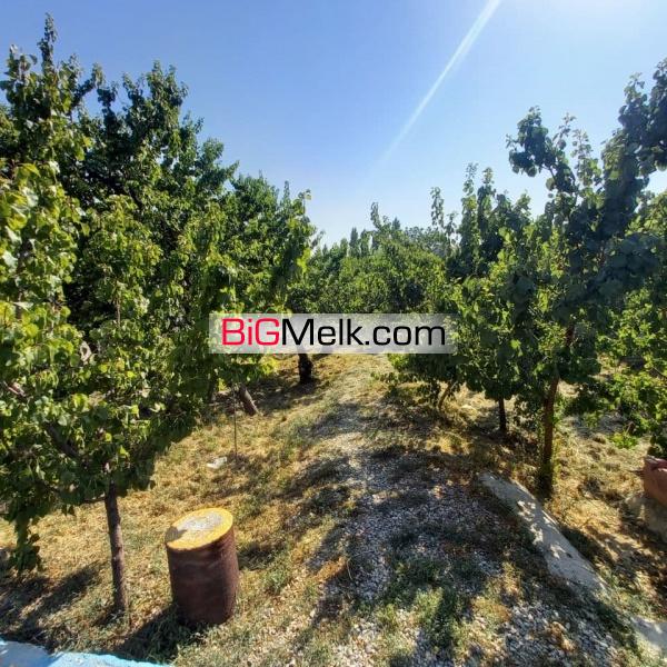 1000  متر باغ مشجر بسیار زیبا در شهریار
