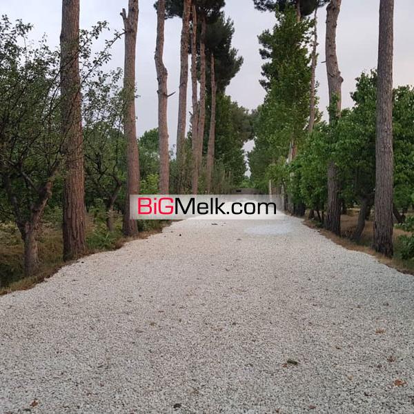 فروش قطعات 400 متری و 500 متری در شهریار