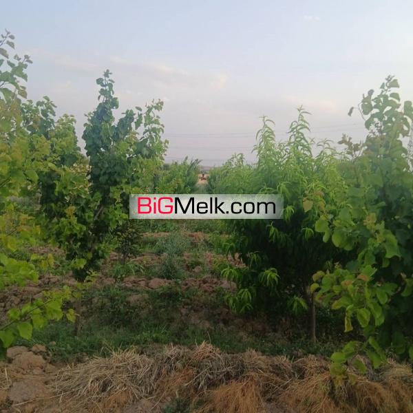 باغچه سهیلیه زعفرانیه معاوضه با ماشین هم میشود