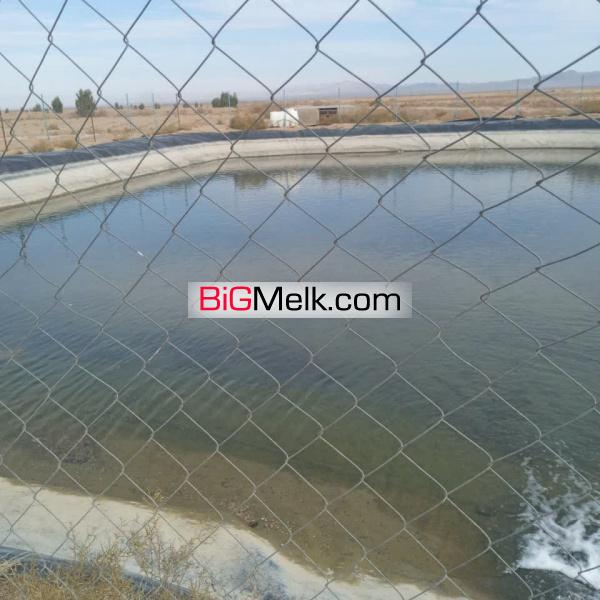 زمین کشاورزی پسته