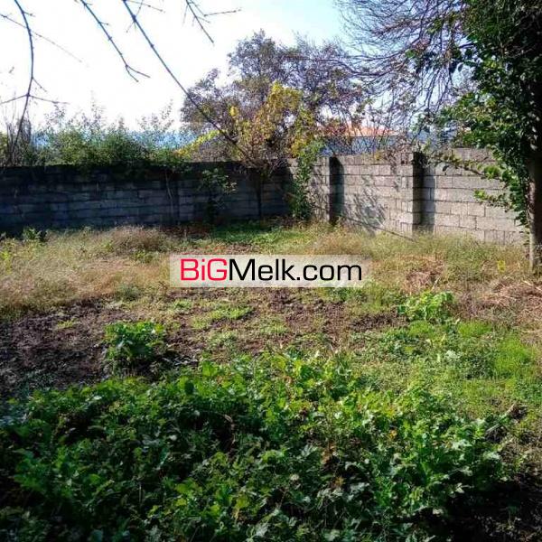 فروش زمین مسکونی با موقعیت ایده آل ساخت ویلا در شمال (گیلان