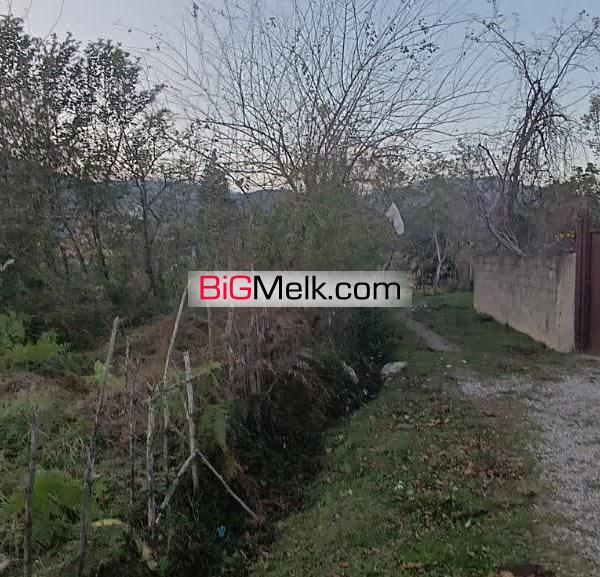 فروش ۲۹۰ متر زمین در شاندرمن زیبا (کارگزاری نسل نو)