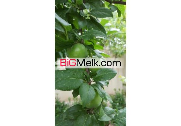 500 متر باغ ویلا سه راه فردوسی