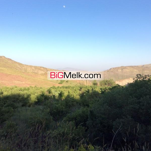 20 هکتار مزرعه با شرایط استثنایی