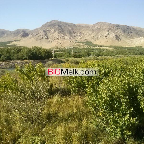 فروش یک و نیم هکتار باغ مثمر زردآلو در لرستان