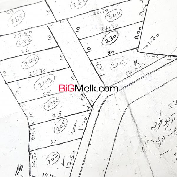 فروش زمین ۲۳۰متری در شمال آمل