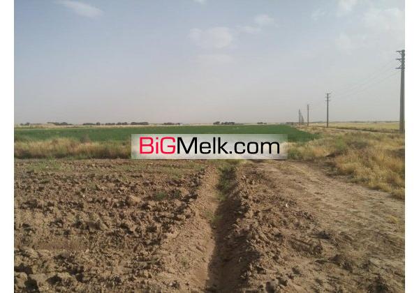 گاوداری 400 راسی شیری نظرآباد فروشی