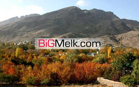 فروش زمین ۶ دانگ- باغات فردو درقم