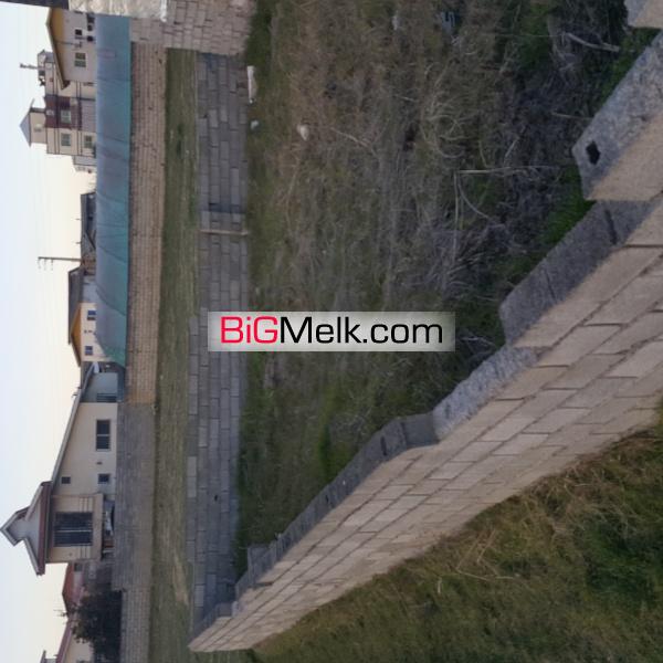 فروش زمین مسکونی۲۳۰متری در شمال آمل
